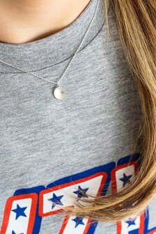 Pompebl&ecirc;dhanger zilver (los)